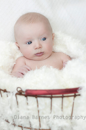 hudsonredbask