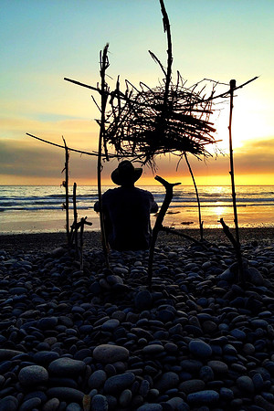 survivorback4x6