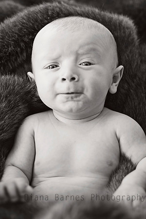 hudsonfunnyBW