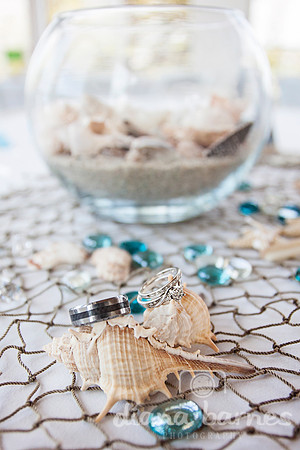 BBringsonshells