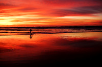 28beach1