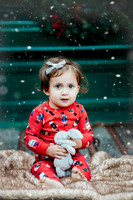 3I7A3770-snow