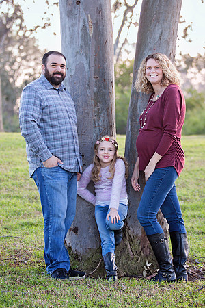 hanev3tree