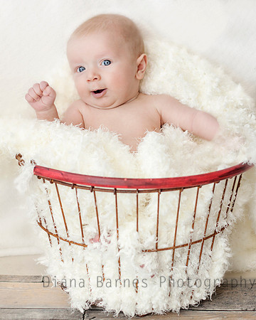 hudsonredbask2