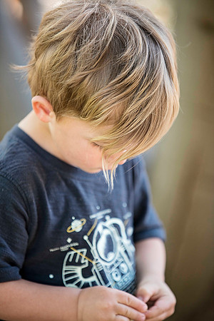 olliehair