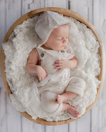 Ivyfinnbowl8x19