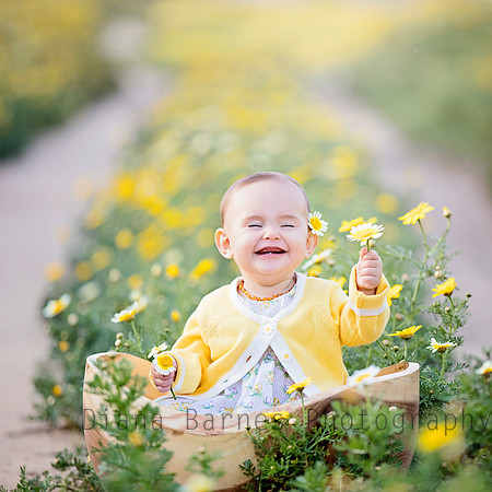 claredaisiesFF2
