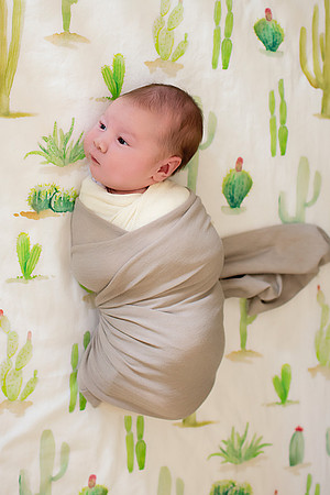 ethancrib1
