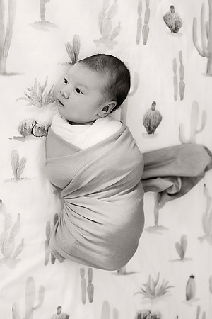 ethancrib1BW