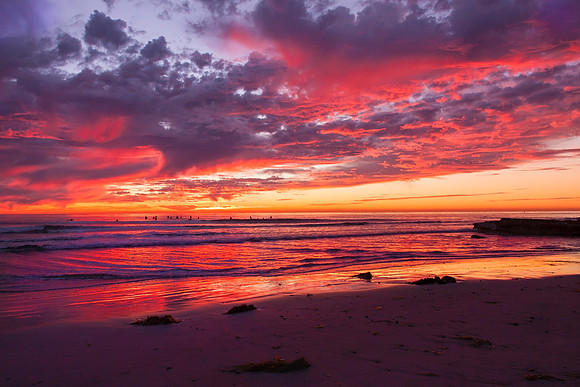Swamis Fire