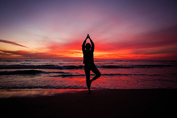debbietreepose