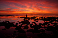 emlowtide1