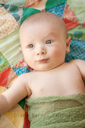 hudsonquilteyes