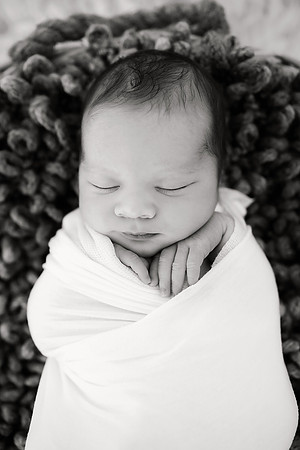 3I7A8215bw copy 2
