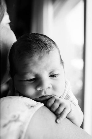 3I7A8091 bwcopy
