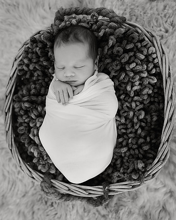 3I7A8212 copy8x10bw