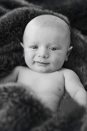 Hudsonfur2BW