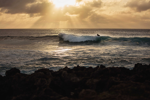 turtlebayLR