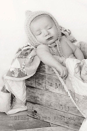 hudsonsleepBW