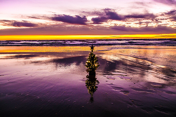 violetree